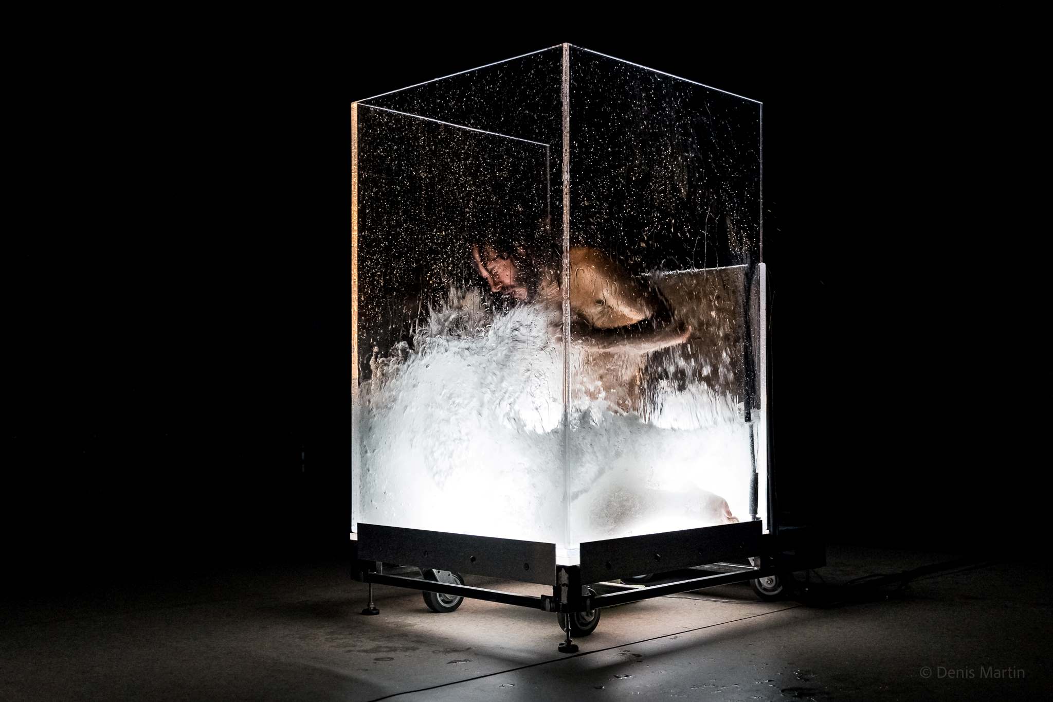 Deux danseurs évoluent dans des vivariums qui se remplissent progressivement d'eau