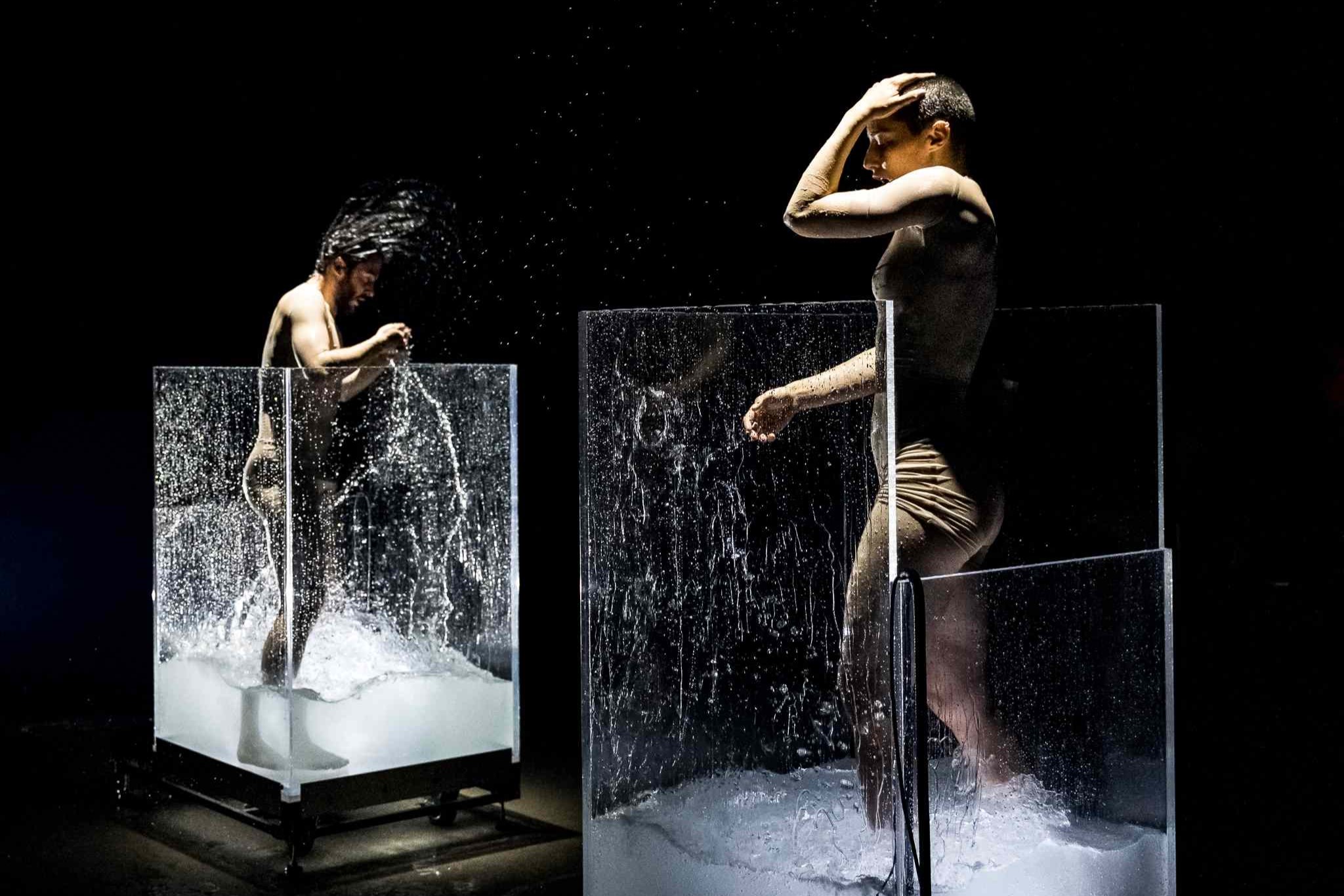 Deux danseurs évoluent dans des vivariums qui se remplissent progressivement d'eau